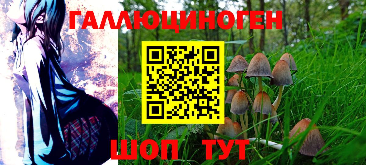 Минусинск  Псилоцибиновые грибы Magic Shrooms  Галлюциногенные грибы Psilocybine cubensis  Вход с VPN 